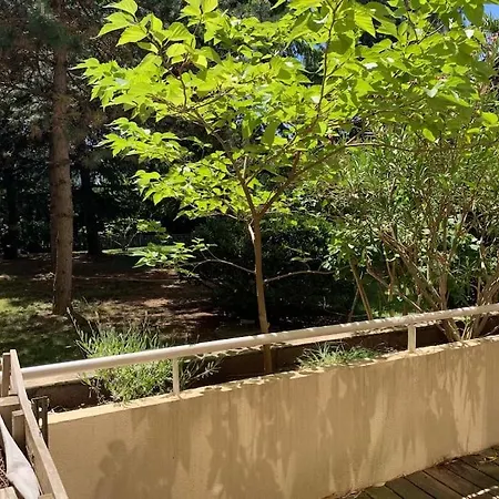 Super Arbore Avec Barbecue Et Parking Apartamento *